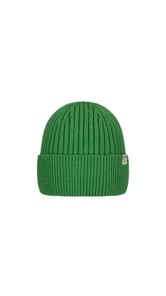 BARTS Tarlinkton Beanie green