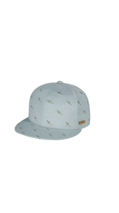 BARTS Pauk Cap sage