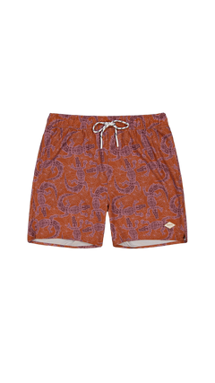 BARTS Kinghorn Shorts terra
