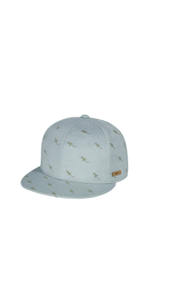 BARTS Pauk Cap sage
