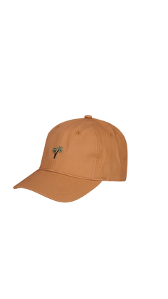 BARTS Posse Cap terra