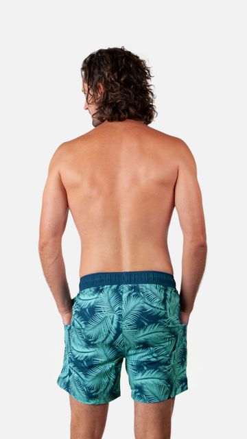 BARTS Darwin Shorts-2