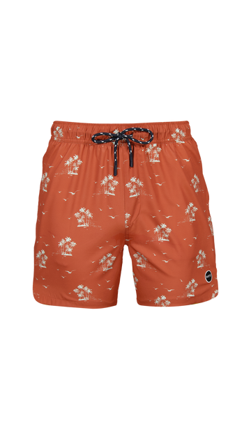 BARTS Falls Shorts-0