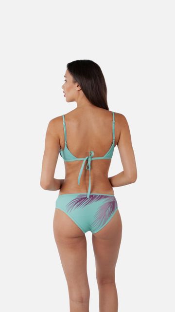 BARTS Tasman Fixed Triangle