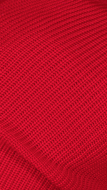 BARTS Barracudda Beanie-2