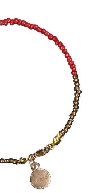 BARTS Yulu-1