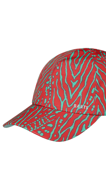 BARTS Tahney Cap-1